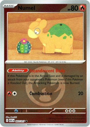 Numel (Energy Symbol Pattern) (027/217) - Reverse Holofoil ME Ascended Heroes - Common